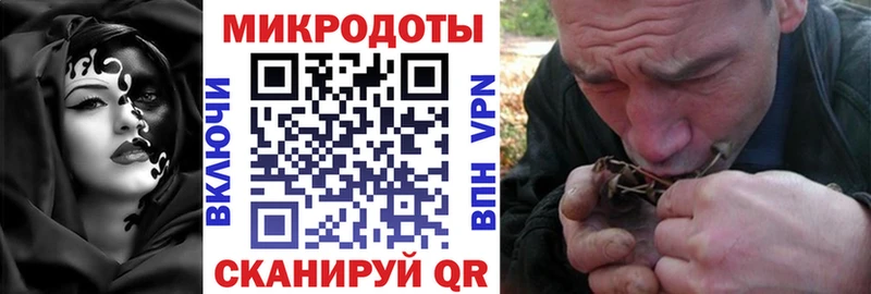 Галлюциногенные грибы Psilocybine cubensis  Купить  Корсаков 